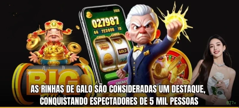 Experiência VIP 877x